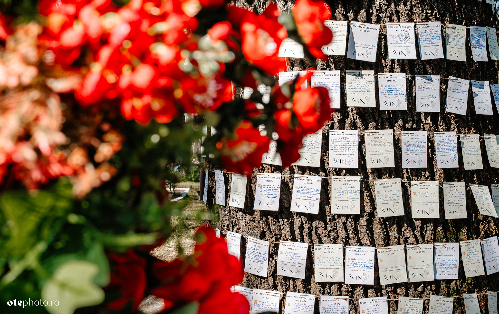 Femei care au modelat lumea - 6